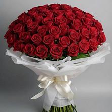 Букет 101 Красная роза Блэк Мэджик в Васильево