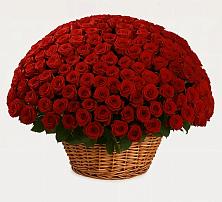 Премиум букет из: Розы в Васильево