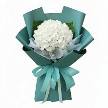 Букет цветов из:  Гортензия #REPLACE_PRED# Васильево